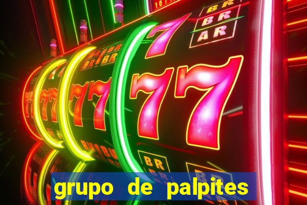 grupo de palpites de futebol whatsapp